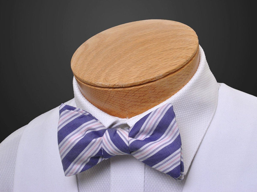 Boy's Bow Tie 14112 Blue/Pink Stripe