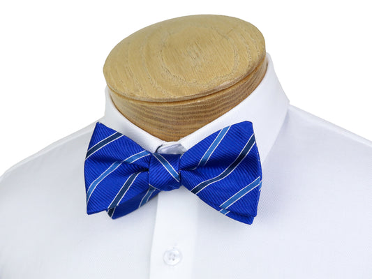 ScottyZ 37597 Young Men's Bow Tie - Stripe - Royal/White
