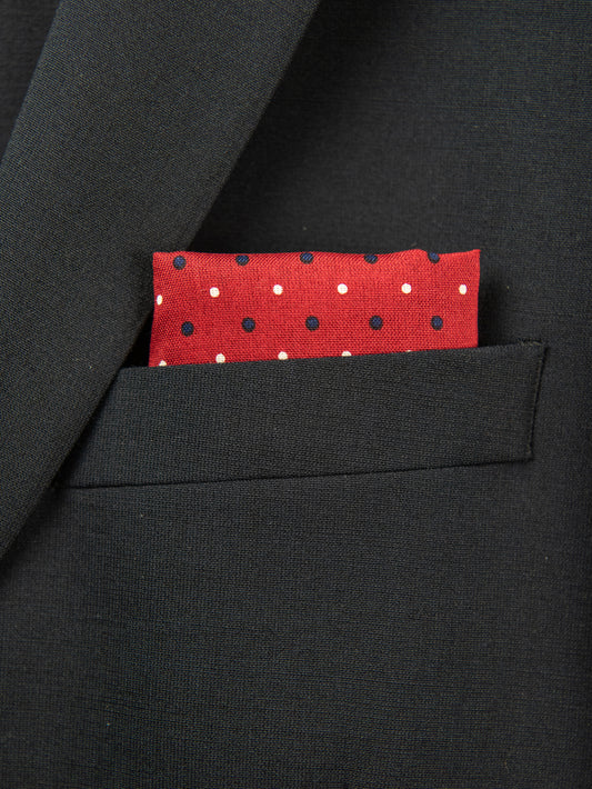 Boy's Pocket Square 29107 Red/Blue